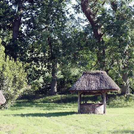 Gite Le Petit Vauchel A 3,5 Km D'Etretat Pierrefiques Exterior foto